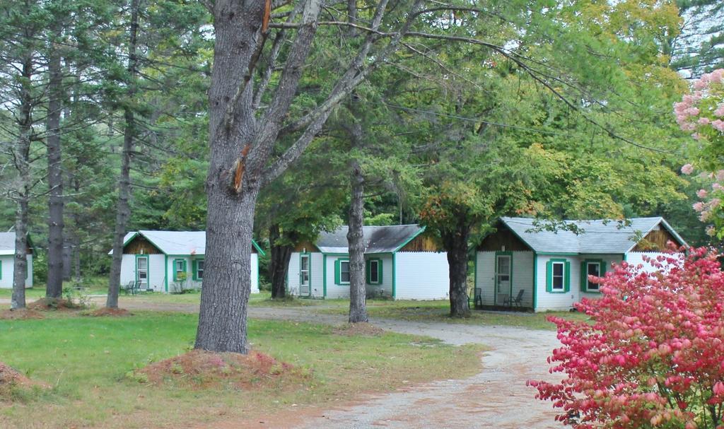 Pine Valley Cabins Thornton Camera foto
