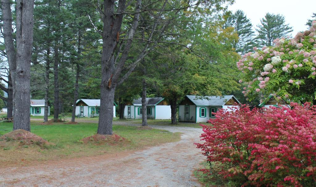 Pine Valley Cabins Thornton Esterno foto