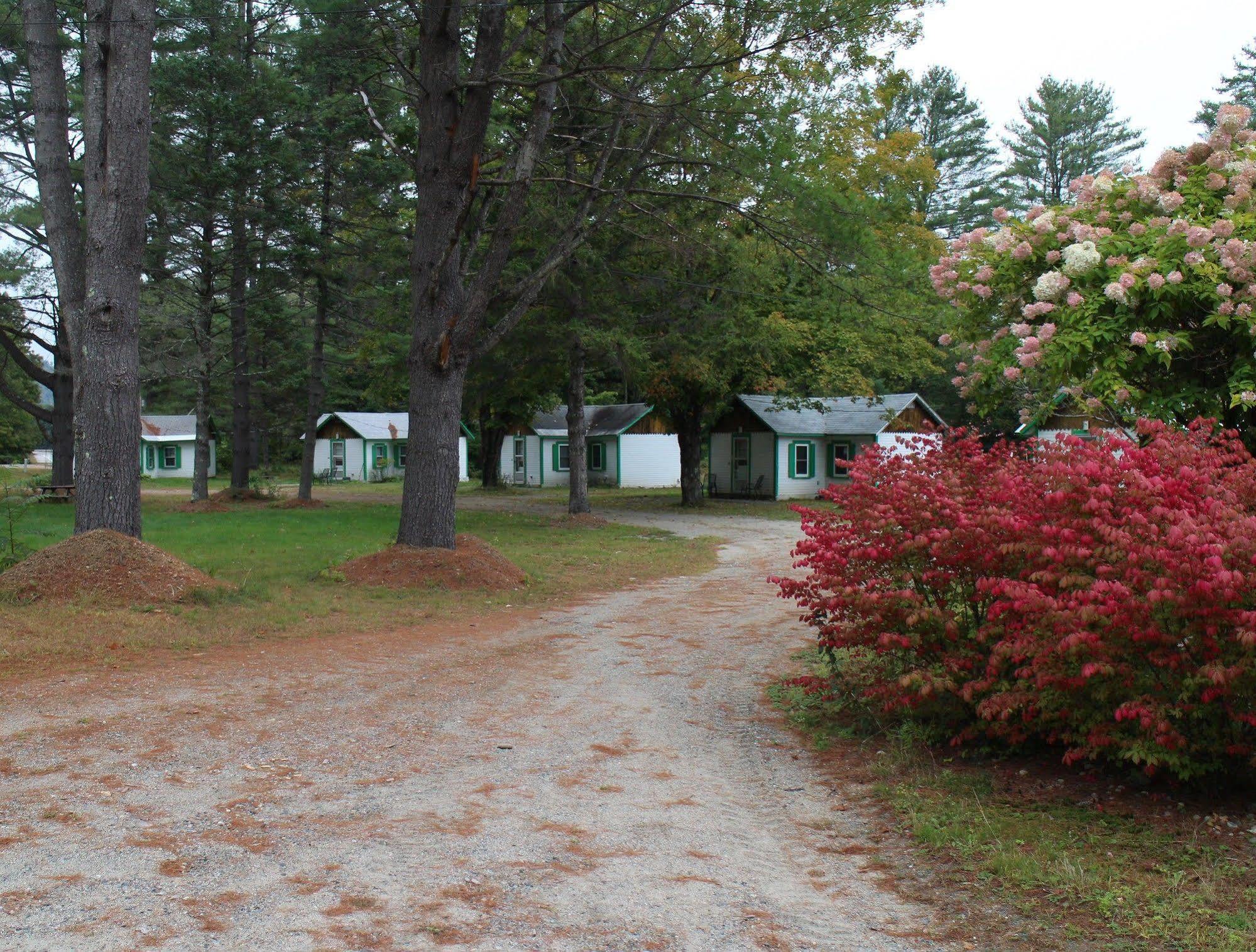 Pine Valley Cabins Thornton Esterno foto